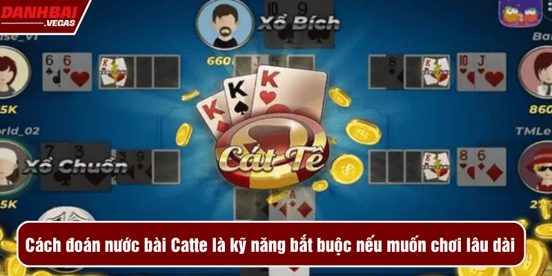 Cách đoán nước bài Catte là kỹ năng bắt buộc nếu bạn muốn chơi lâu dài 