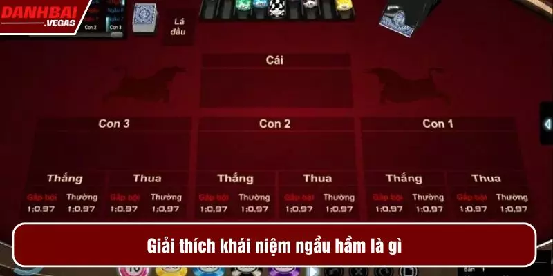Giải thích khái niệm ngầu hầm là gì