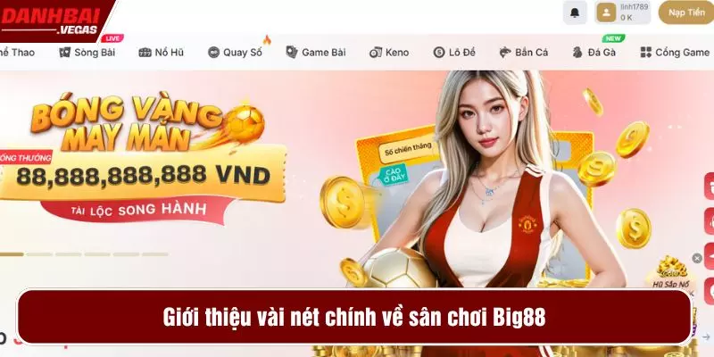 Giới thiệu vài nét chính về sân chơi Big88