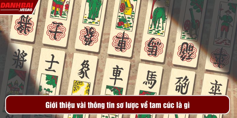 Giới thiệu vài thông tin sơ lược về tam cúc là gì