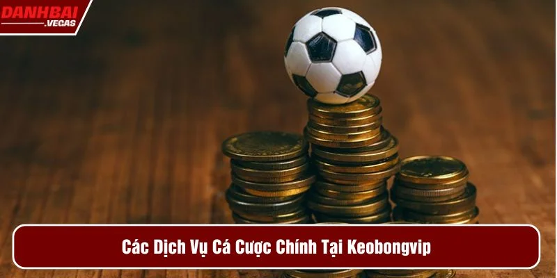 Nhà cái cung cấp nhiều trò chơi trực tuyến